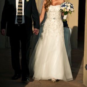 Beautiful Designer Wedding dress